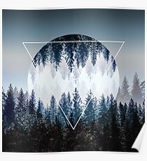 Woods 4 Poster