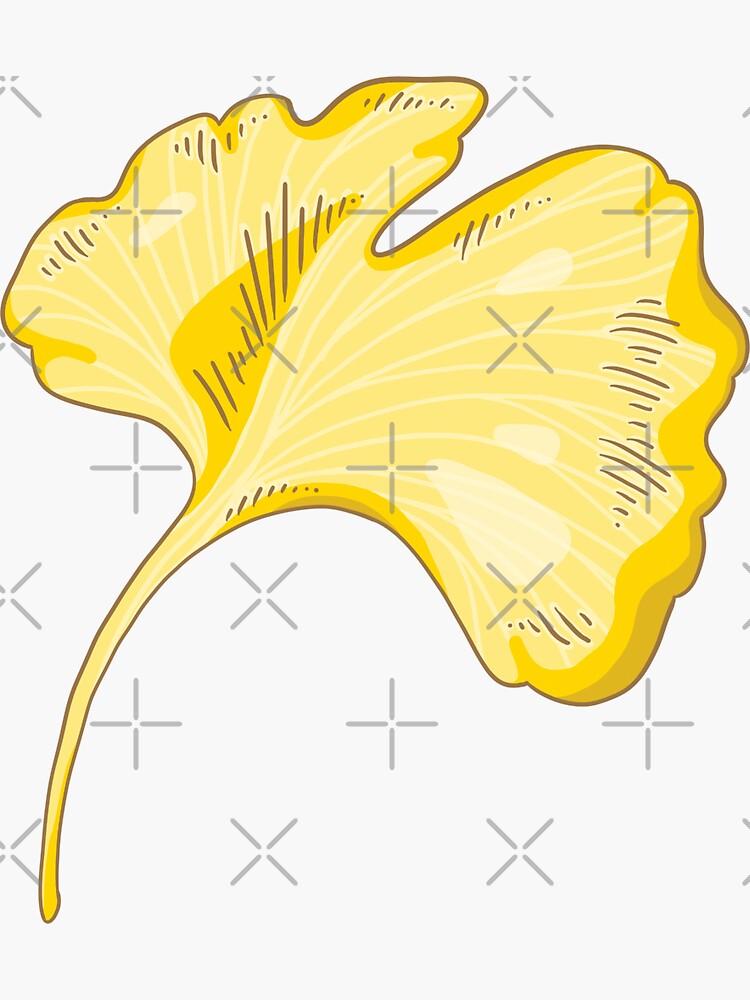 Thumbnail 3 of 3, Sticker, Ginkgo Biloba I designed and sold by inking-green.