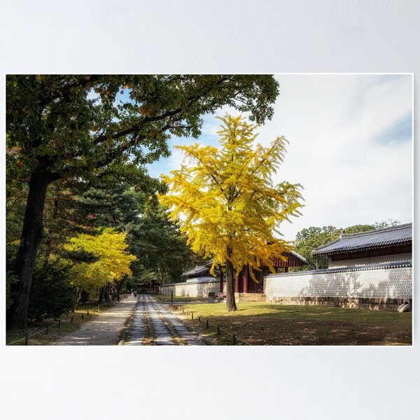 Item preview, Jongmyo Shrine in Autumn designed and sold by aaronchoi.