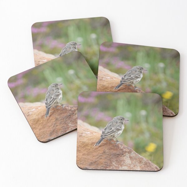 Item preview, American pipit (Anthus rubescens) designed and sold by SDym Photography.