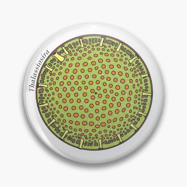 Item preview, Diatom - Thalassiosira (scientific, color) designed and sold by DiatomsATTACK.