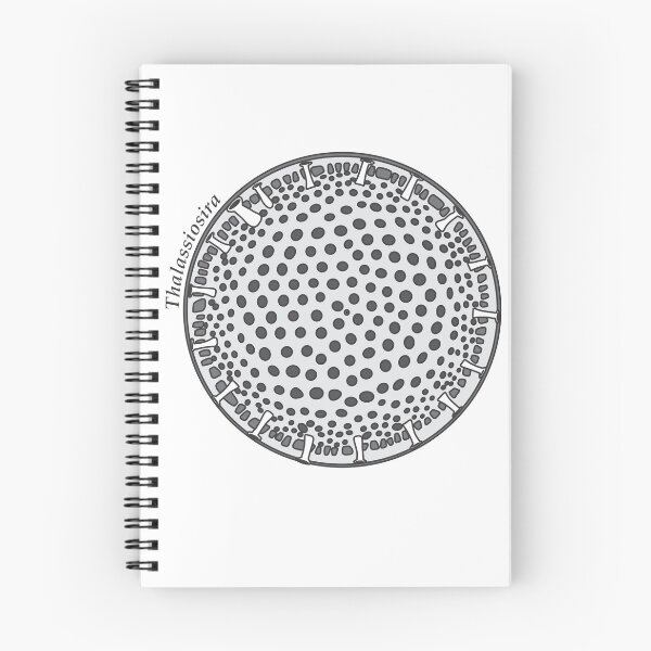 Item preview, Diatom - Thalassiosira (scientific) designed and sold by DiatomsATTACK.