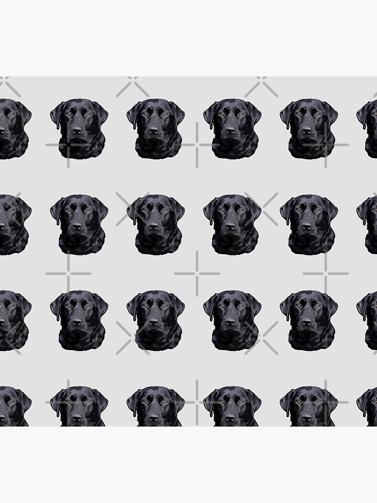 Illustration De La Page De Coloriage Du Chien Labrador Retriever Image