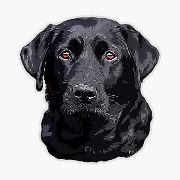 Labrador Retriever Black Lab Purebred Stamp Puppies Rule!