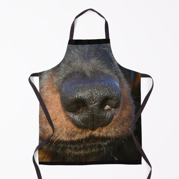 Item preview, Short-haired dachshund snout designed and sold by TheDachshund.