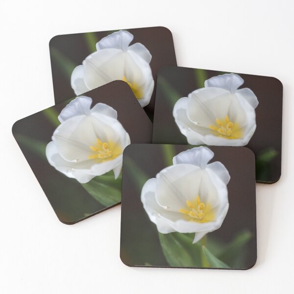 Item preview, The White Tulip Flower designed and sold by Joy Watson - Natural Light Photography .