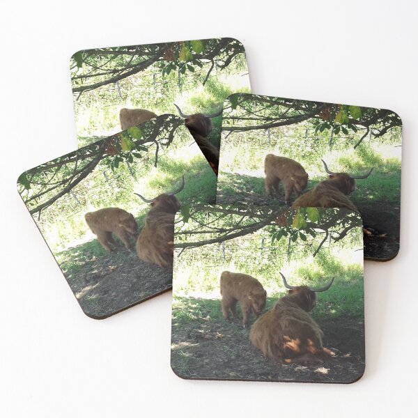 Item preview, Highland Cattle at Pollok Country Park, Glasgow designed and sold by MagsWilliamson.