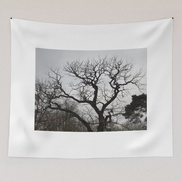 Item preview, Winter is drawing near designed and sold by Sandra Willis.