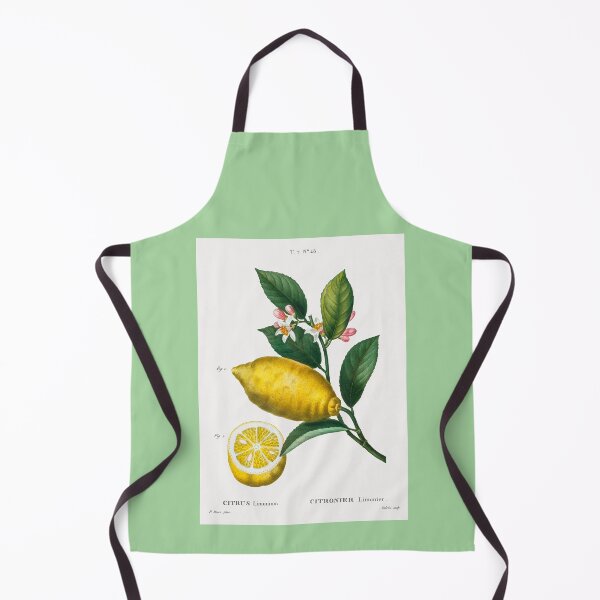 Item preview, Antique lemon scientific print designed and sold by biodivher.