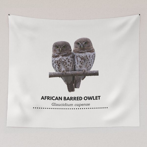 Item preview, African Barred Owlet designed and sold by Wouter van Spijker.