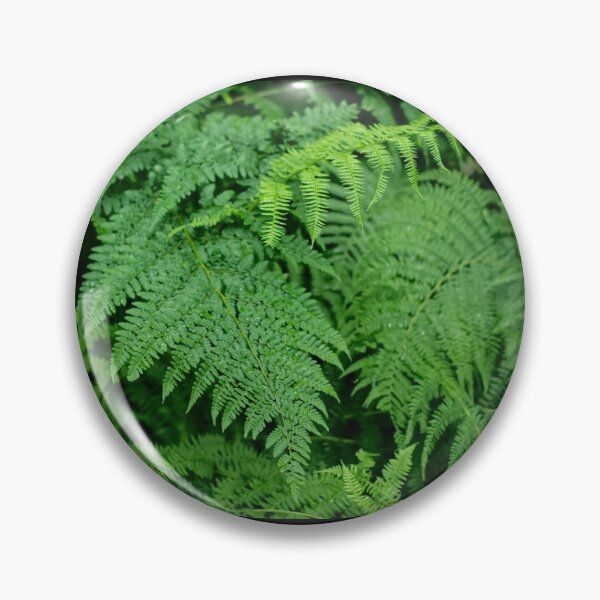 Item preview, Ostrich Fern designed and sold by PicsByTony.