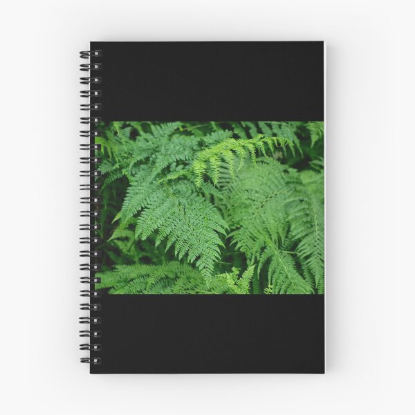 Item preview, Ostrich Fern designed and sold by PicsByTony.