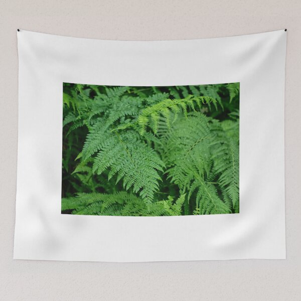 Item preview, Ostrich Fern designed and sold by PicsByTony.