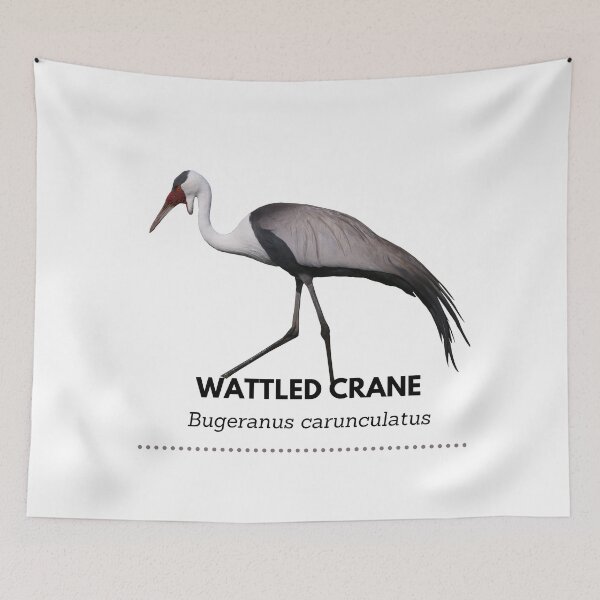 Item preview, Wattled Crane designed and sold by Wouter van Spijker.