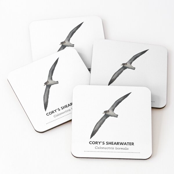 Item preview, Cory's Shearwater designed and sold by Wouter van Spijker.