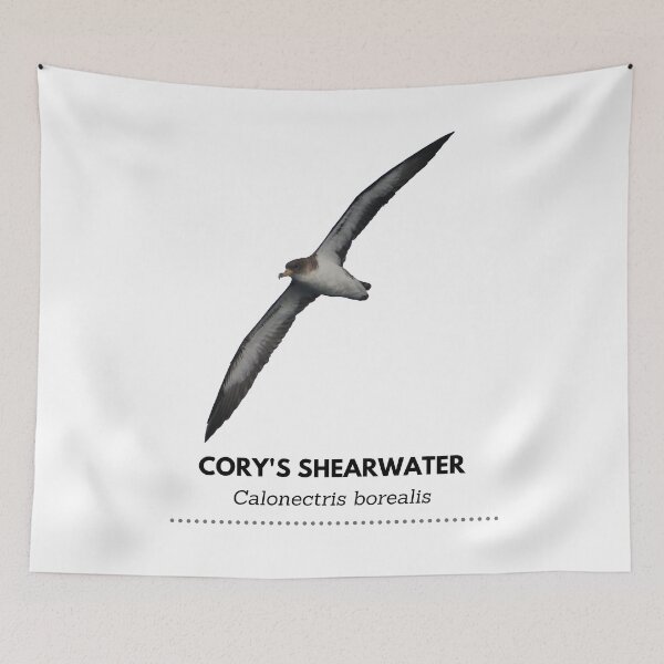Item preview, Cory's Shearwater designed and sold by Wouter van Spijker.