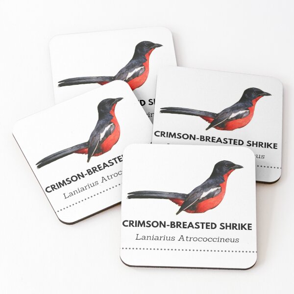 Item preview, Crimson-breasted Shrike designed and sold by Wouter van Spijker.
