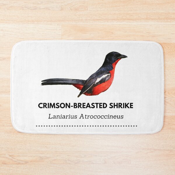 Item preview, Crimson-breasted Shrike designed and sold by Wouter van Spijker.