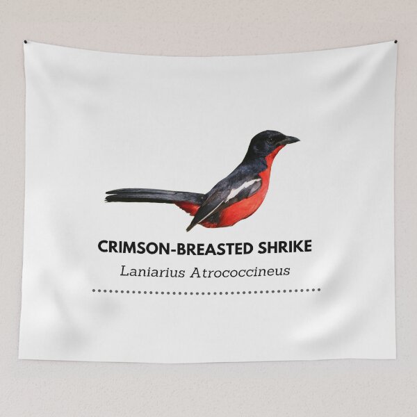 Item preview, Crimson-breasted Shrike designed and sold by Wouter van Spijker.