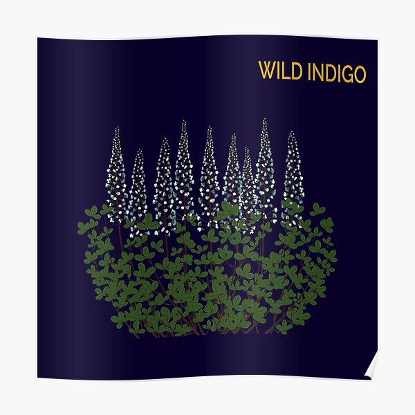 Wild Indigo on indigo Poster