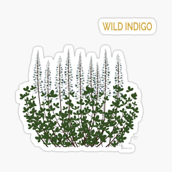Wild Indigo on indigo Sticker