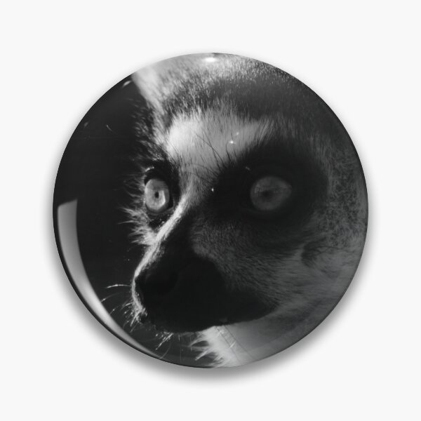 Item preview, Ring Tailed Lemur designed and sold by Tropicalsteve.