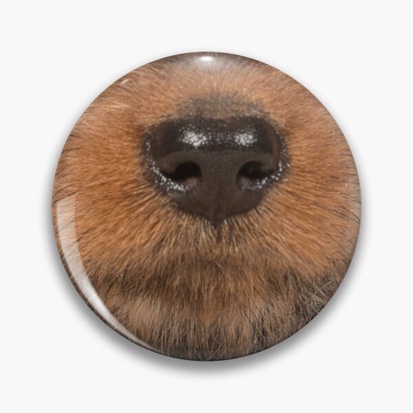 Item preview, Dachshund puppy snout designed and sold by TheDachshund.