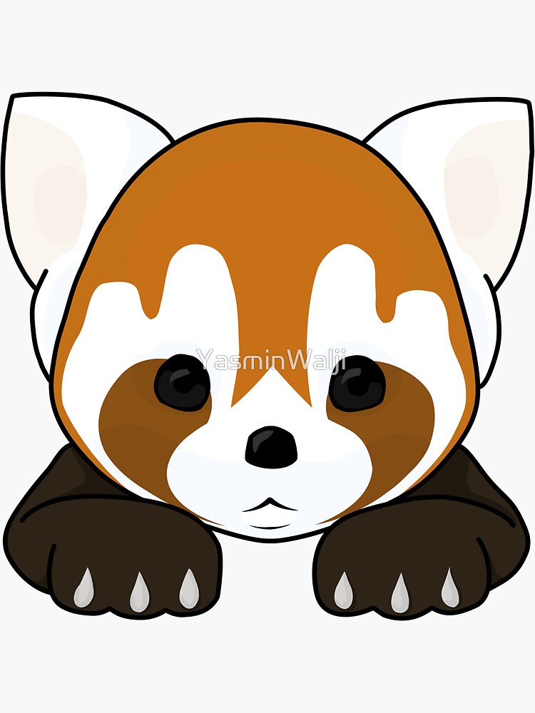 Lesser Panda / Red Panda by YasminWalji