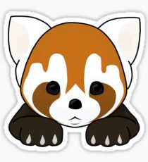 Lesser Panda / Red Panda Sticker