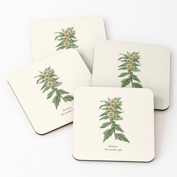 Item preview, Henbane - Hyoscyamus Niger, Vintage Botanical Illustration, Solanaceae Poison, Witches Herbs designed and sold by Larkwort.