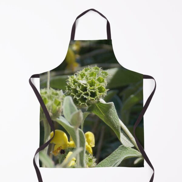 Item preview, Scrubby Jerusalem Sage designed and sold by Naomi80.