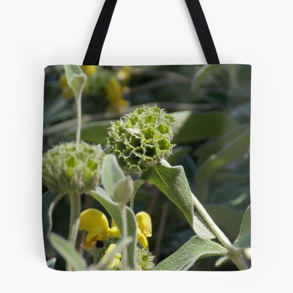 Item preview, Scrubby Jerusalem Sage  designed and sold by Naomi80.