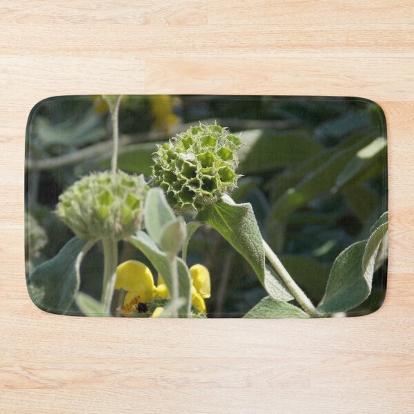 Item preview, Scrubby Jerusalem Sage  designed and sold by Naomi80.