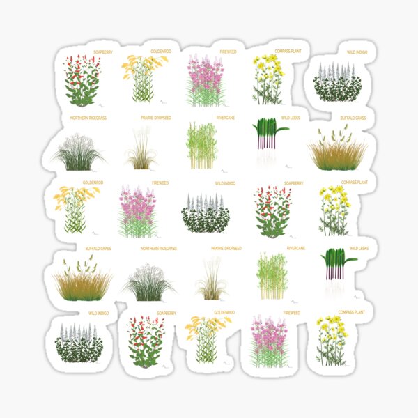 Respect Indigenous Plants on indigo Sticker