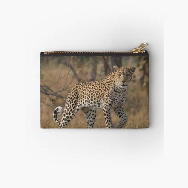 Item preview, Leopard in Moremi game Reserve in Botswana designed and sold by Wouter van Spijker.