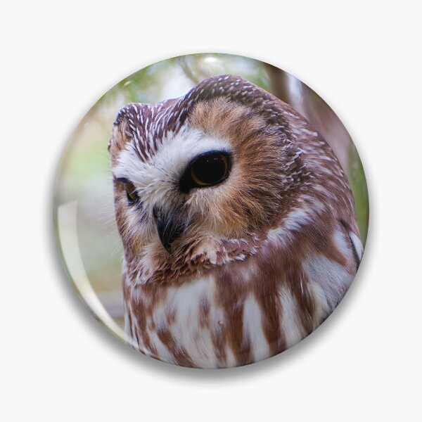 Item preview, Northern Saw-whet Owl designed and sold by Owl-Images.