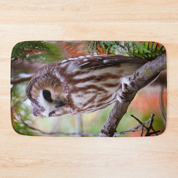 Item preview, Northern Saw-whet Owl designed and sold by Owl-Images.