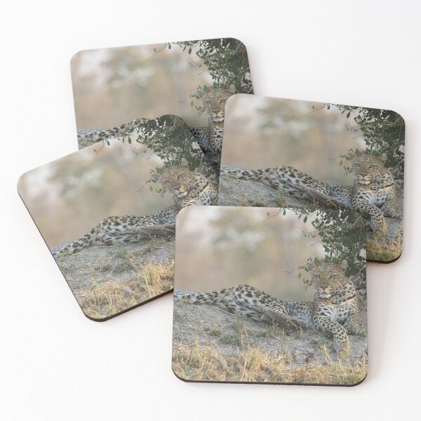 Item preview, Leopard in Moremi Game Reserve, Botswana designed and sold by Wouter van Spijker.