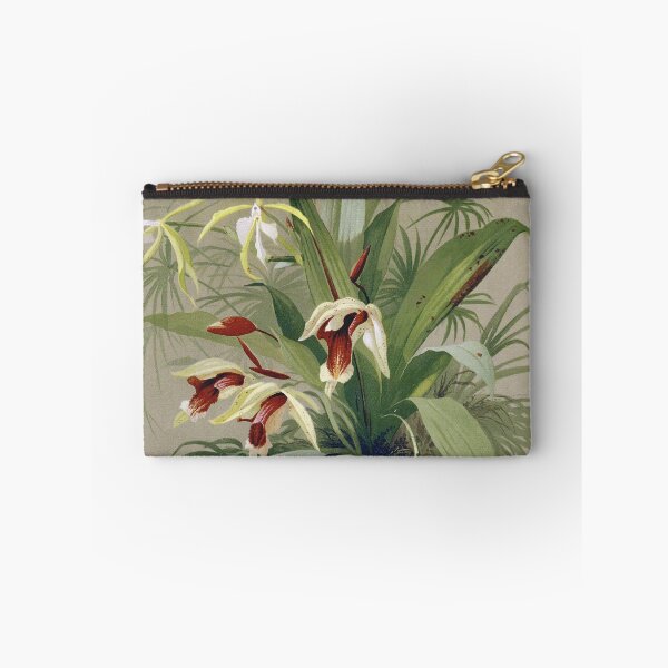 Item preview, Vintage French botanical illustration - Coelogyne speciosa - Emile Vouga Les orchidées 1840 designed and sold by Gardenlibrary.