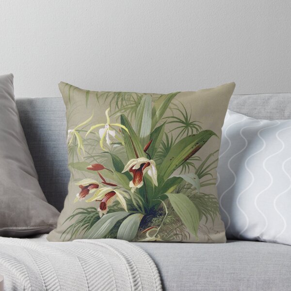 Item preview, Vintage French botanical illustration - Coelogyne speciosa - Emile Vouga Les orchidées 1840 designed and sold by Gardenlibrary.