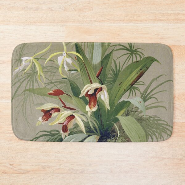 Item preview, Vintage French botanical illustration - Coelogyne speciosa - Emile Vouga Les orchidées 1840 designed and sold by Gardenlibrary.