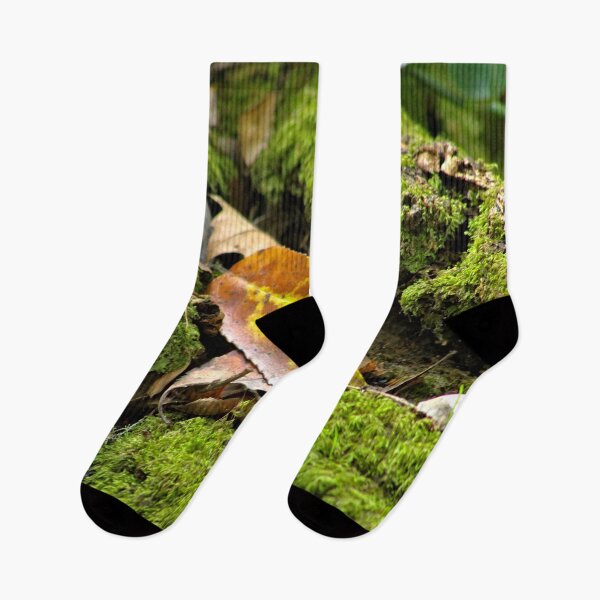 Item preview, Fallen Leaf Tree Root Moss designed and sold by worldways.
