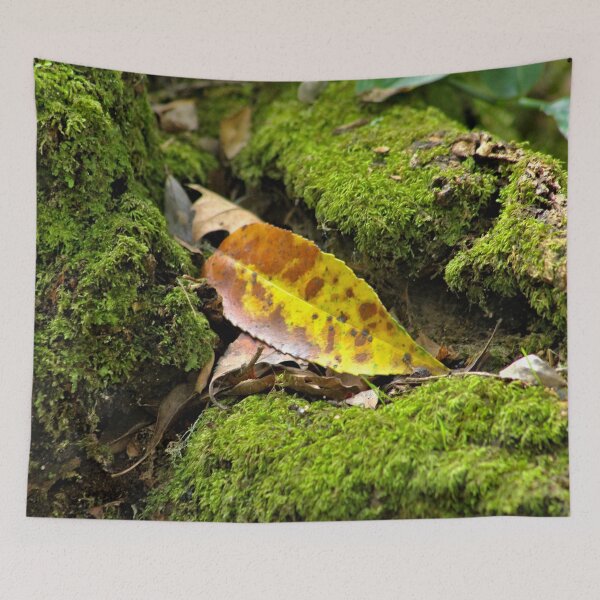 Item preview, Fallen Leaf Tree Root Moss designed and sold by worldways.