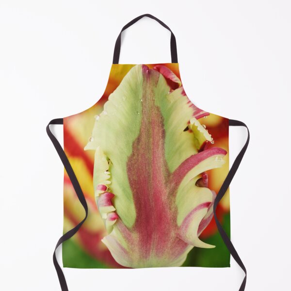 Item preview, Tulipa 'Flaming Parrot' Parrot Group Tulip designed and sold by Chris Burrows.