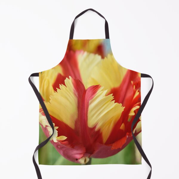 Item preview, Tulipa 'Flaming Parrot' Parrot Group Tulip designed and sold by Chris Burrows.