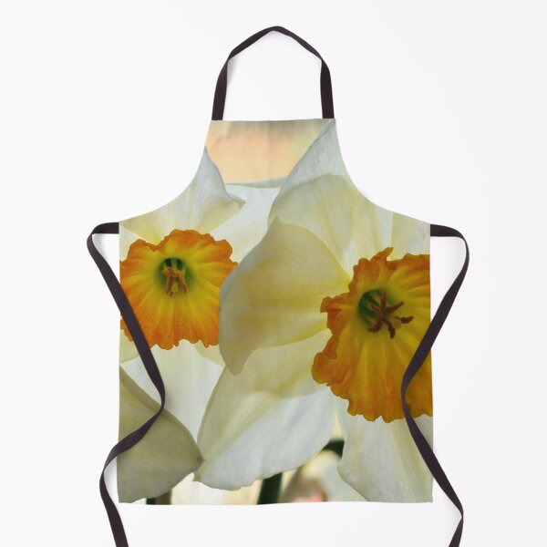 Item preview, Narcissus 'Sempre Avanti' Div. 2 Large-cupped Daffodil designed and sold by Chris Burrows.