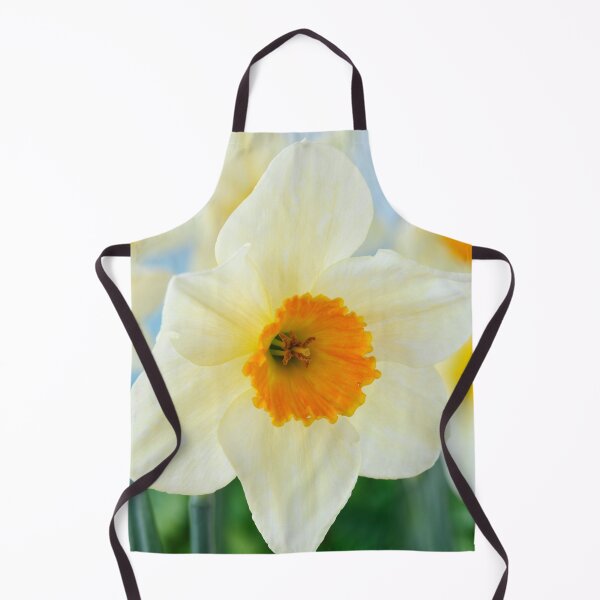 Item preview, Narcissus  'Sempre Avanti'   Div. 2  Large-cupped  Daffodil  designed and sold by Chris Burrows.