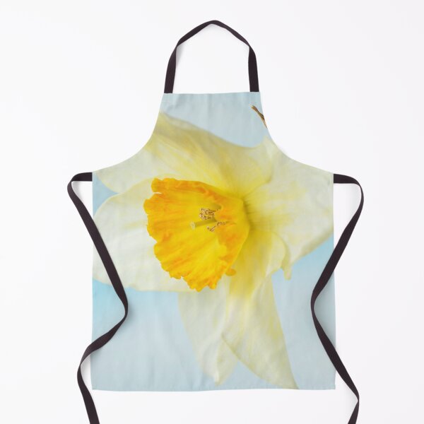 Item preview, Narcissus  'Sempre Avanti'   Div. 2  Large-cupped  Daffodil  designed and sold by Chris Burrows.