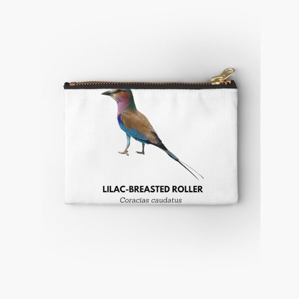 Item preview, Lilac-breasted Roller designed and sold by Wouter van Spijker.