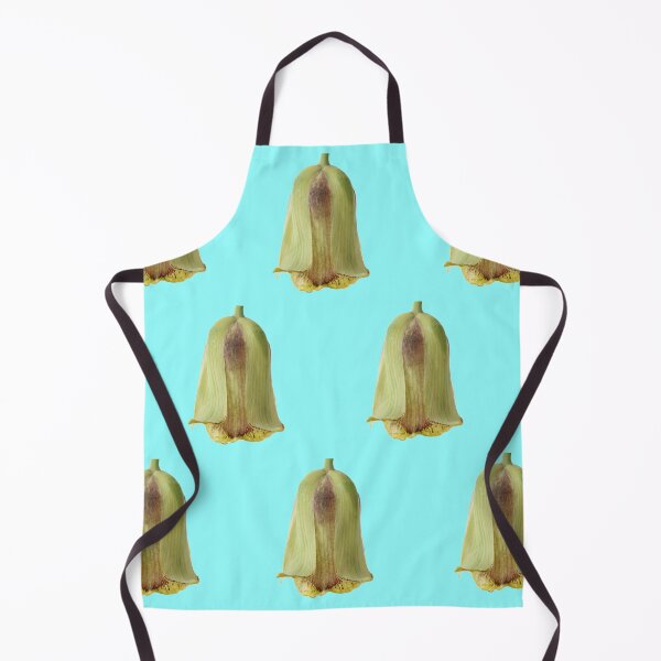 Item preview, Fritillaria acmopetala AGM Pointed-petal fritillary designed and sold by Chris Burrows.